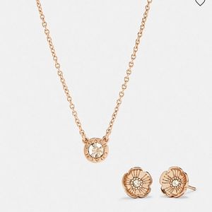 Coach necklace and earrings